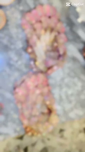 Comentarii opinii despre Pasha Sarayi Restaurant & Cafe