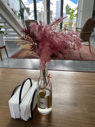 Save Our Souls cafe - Hospitality and gastronomy