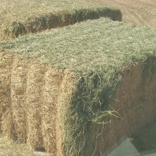 الحير - سويحان - طريق أبوظبي - Sweihan - Shabiat Suweihan - Abu Dhabi