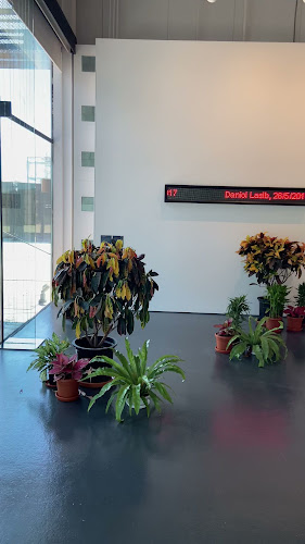 AURO Cafe at Warehouse421 - Hospitality and gastronomy