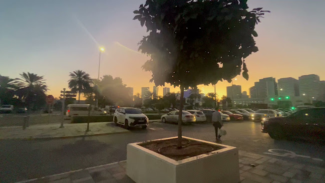 Baskin Robbins - Tourist Club - Hospitality and gastronomy