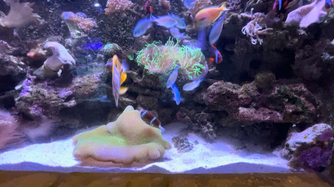 Jam Bar - Hospitality and gastronomy