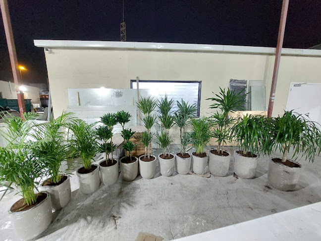 Emirates garden market - Abu Dhabi