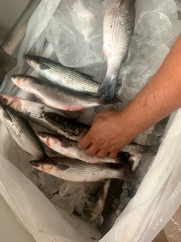 Opinii despre Dawreena Resturant & cafe în Fujairah - Hospitality and gastronomy