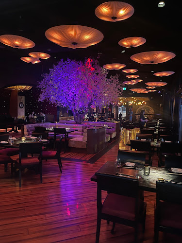 Asia Asia Abu Dhabi - Abu Dhabi