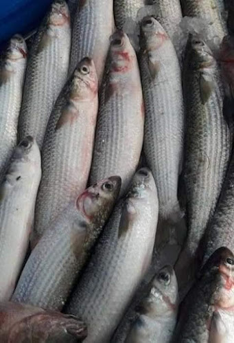 Dawreena Resturant & cafe - Hospitality and gastronomy