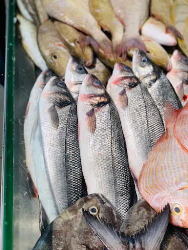 Comentarii opinii despre شوي الأسماك الشامخة