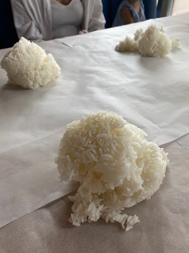 Shrimp Pot Seafood Restaurant Al Jaddaf - Dubai | UAE - Dubai