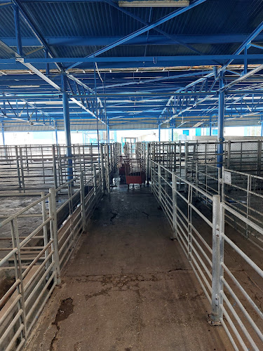 124 Al Kharaz St - Zayed Port - Freezone - Abu Dhabi