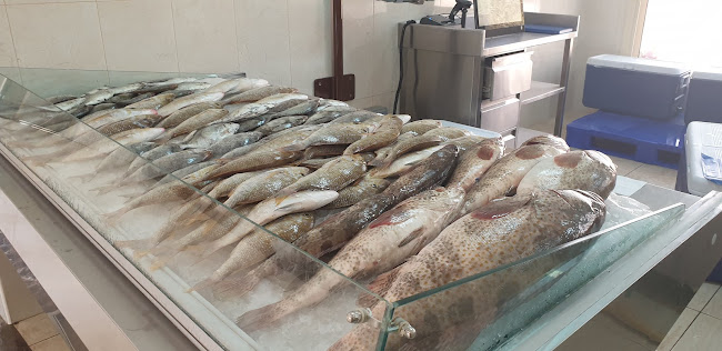 Fish Market - Al Hamriyah - Sharjah