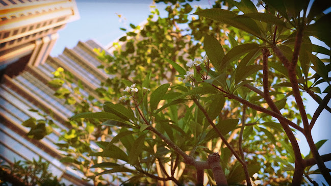 Opinii despre Kimpo în Dubai - Hospitality and gastronomy