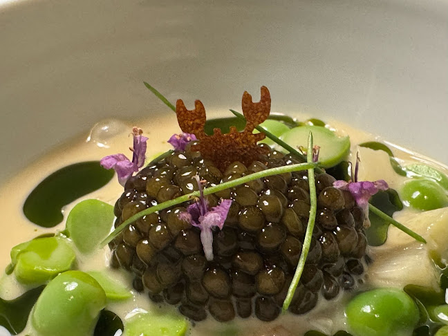 Row on 45 - Hospitality and gastronomy