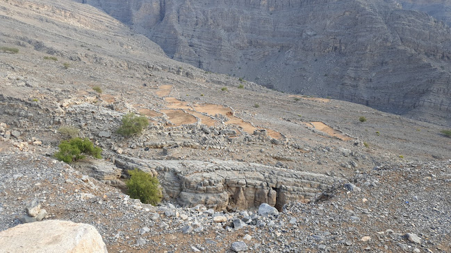 Opinii despre Mount Jess Cafeteria în Ras Al-Khaimah - Hospitality and gastronomy