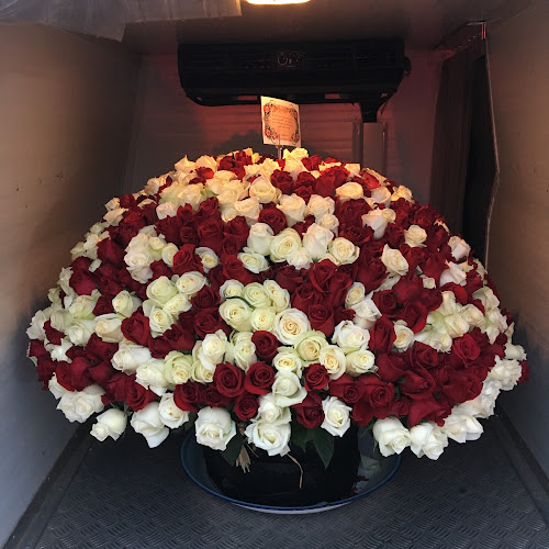 6P2P+GPF - Falaj Hazza' - Al Mnaizlah - Abu Dhabi