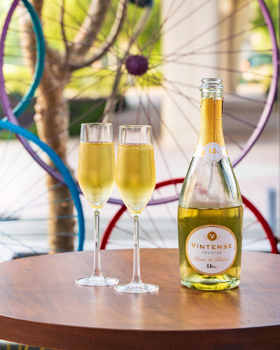 Comentarii opinii despre Fixie