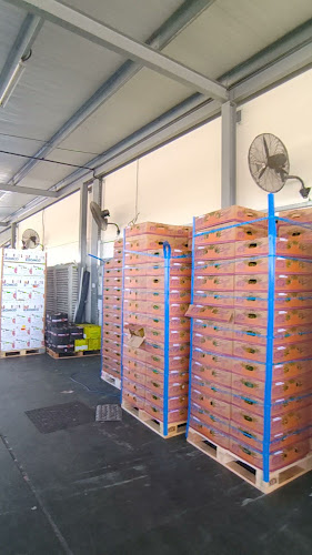 Opinii despre Al Aweer Central Fruit & Vegetable Market în Dubai - Hospitality and gastronomy