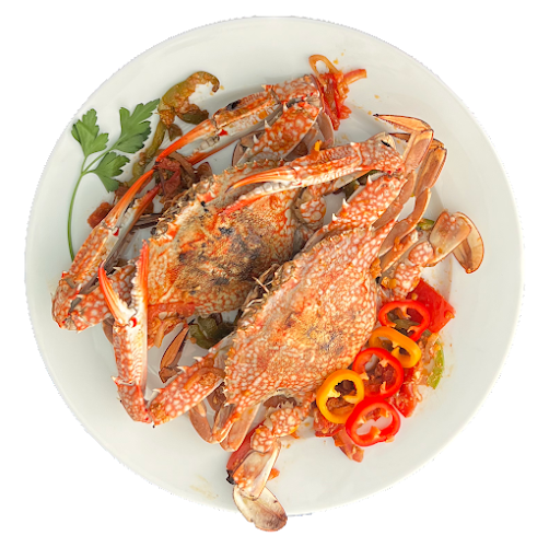 Asmak Tito أسماك تيتو - Ajman