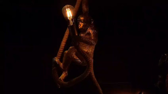 Opinii despre The Hungry Monkey Restaurant and Lounge în Dubai - Hospitality and gastronomy