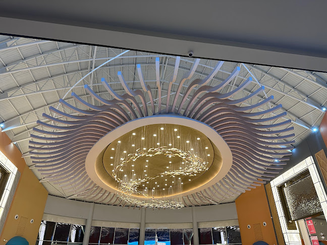 Fish Market - Al Hamriyah