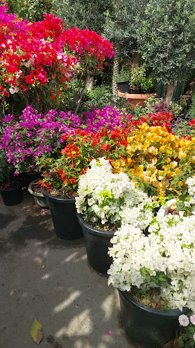 Al Doum St - Zayed Port - Harbour - Abu Dhabi