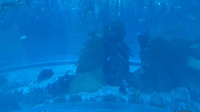 Joe's Crab Shack - Hospitality and gastronomy