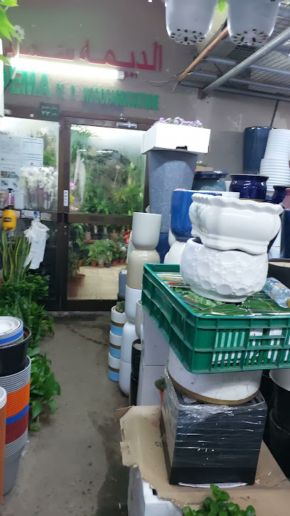 Emirates garden market