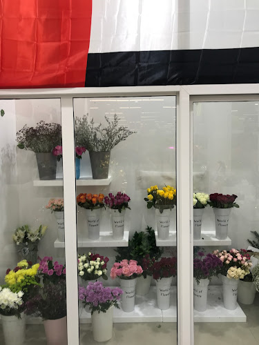 9GXX+6J - Hamidiya - Al Raqaib 1 - Ajman