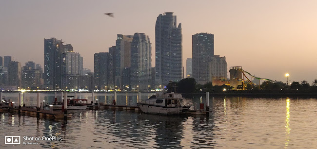 Fruits And Vegetable market , Ras al khor - Dubai - Dubai