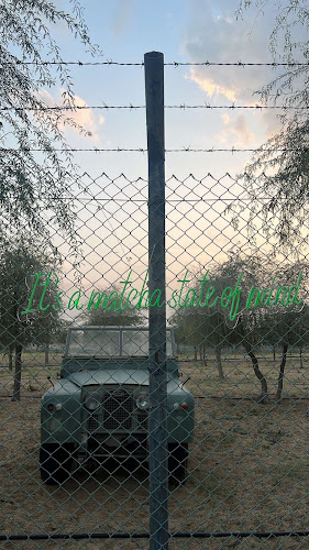 Comentarii opinii despre Oryx