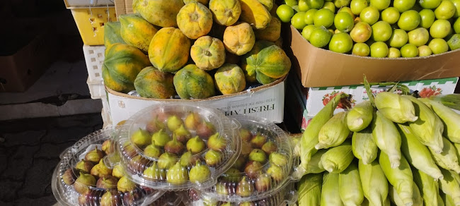 HAJI SULTAN FRUITS AND VEGETABLES - Hospitality and gastronomy