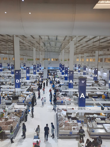 Fish market (wholesale section)in WaterFront market - Hospitality and gastronomy