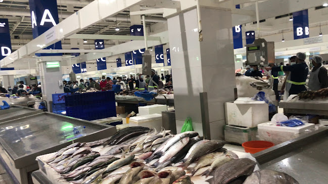 Fish market (wholesale section)in WaterFront market - Hospitality and gastronomy