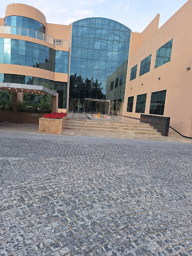 Comentarii opinii despre Twisted Olive