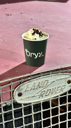 Comentarii opinii despre Oryx