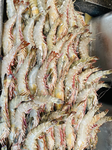 Mina market - Zayed Port - Harbour - Abu Dhabi