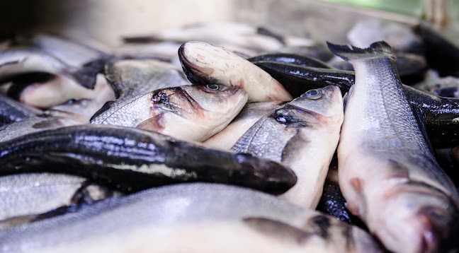 Comentarii opinii despre مطعم الجندي للاسماك - Aljundi Fish coking