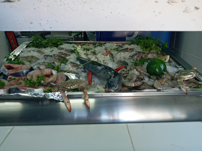 King Abdul Aziz St - Al Nad - Al Qasimia - Sharjah