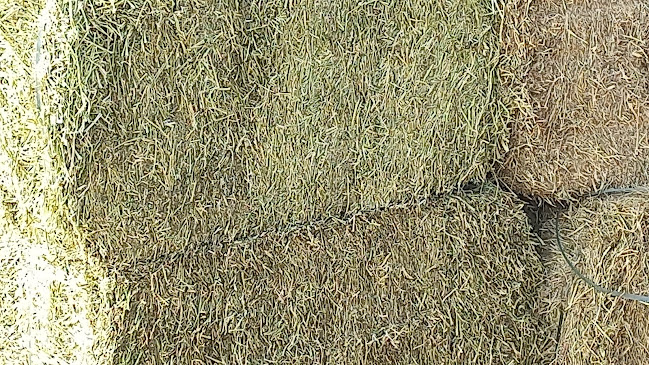 Comentarii opinii despre حلالي لتجارةالاعلاف والمواد الزراعية