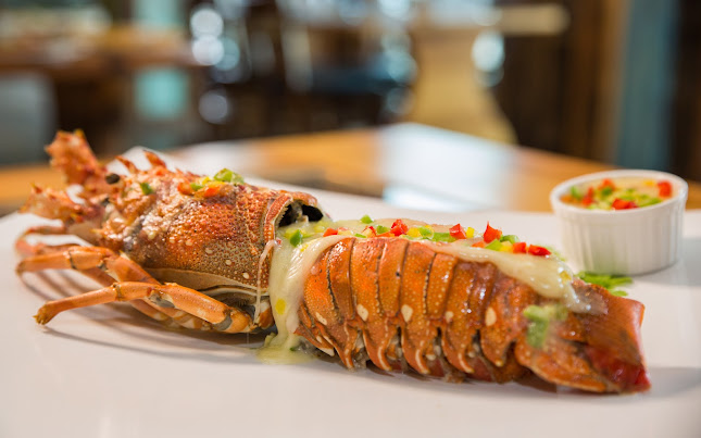 FISH HARBOUR 1 - Jumeirah Fish Market, Jumeirah 1 - Jumeira St - Jumeirah - MARINA 1 - Dubai