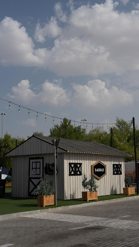 Opinii despre Saddle Cafe - Abu Dhabi (Khalifa) în Abu Dhabi - Hospitality and gastronomy