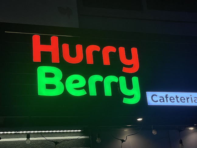 Hurry Berry - Hospitality and gastronomy