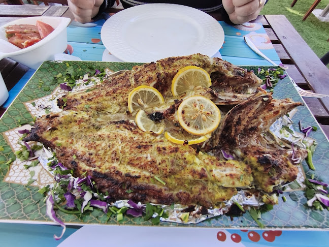 Comentarii opinii despre estacoza seafood