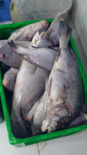 3Q9M+VX8 - Al Gharbia - Abu Dhabi