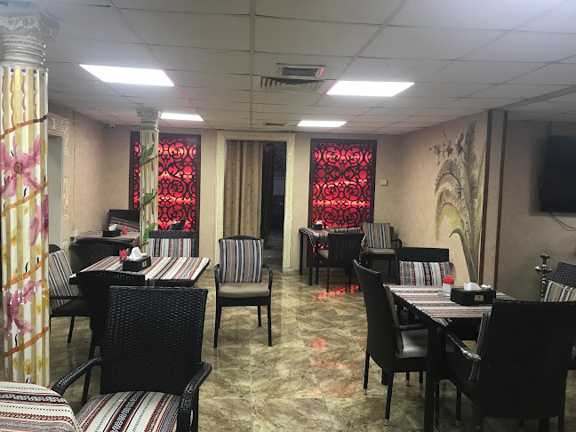 Comentarii opinii despre سوليتير كافيه