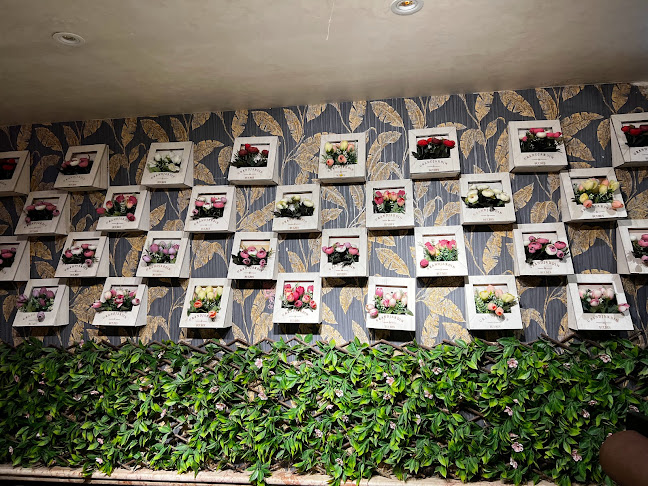 6PHQ+337 - 124th St - Al Mu'tarid - Ugdat Al Muwaiji - Abu Dhabi