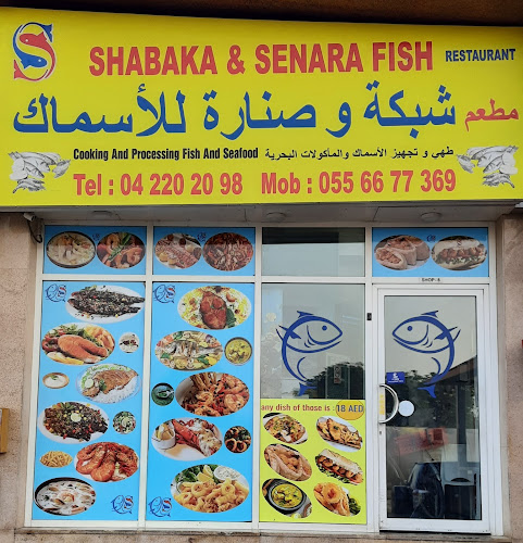 Opposite to Burhani Masjid - Al Shamsi Building7 A St - Baghdad Street - Al Nahda 2 - Dubai