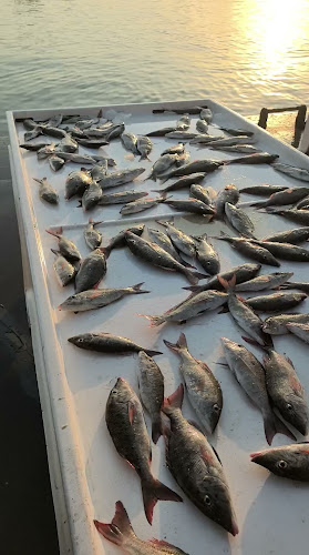 Jawaher Fish Cooking - Ajman