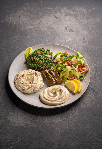 Chicken King - ملك الدجاج