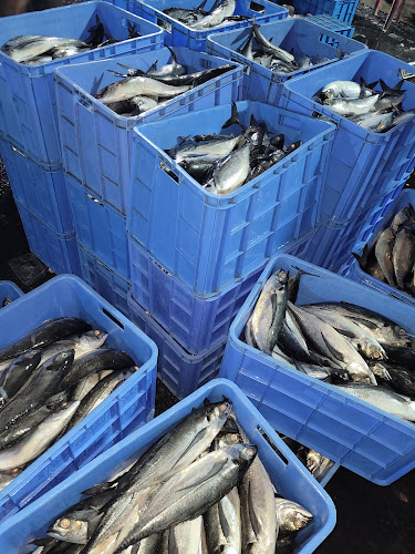 Opinii despre Fish market (wholesale section)in WaterFront market în Dubai - Hospitality and gastronomy