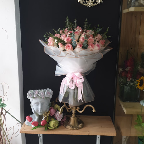 Bldg 235, shop #1, BSHR BIN AMIR ST. 21 Al Manakh area near Kuwait Road Sharjah Bldg 235, shop #1, BSHR BIN AMIR ST. 21 Al Manakh area - near Kuwait Square - Sharjah